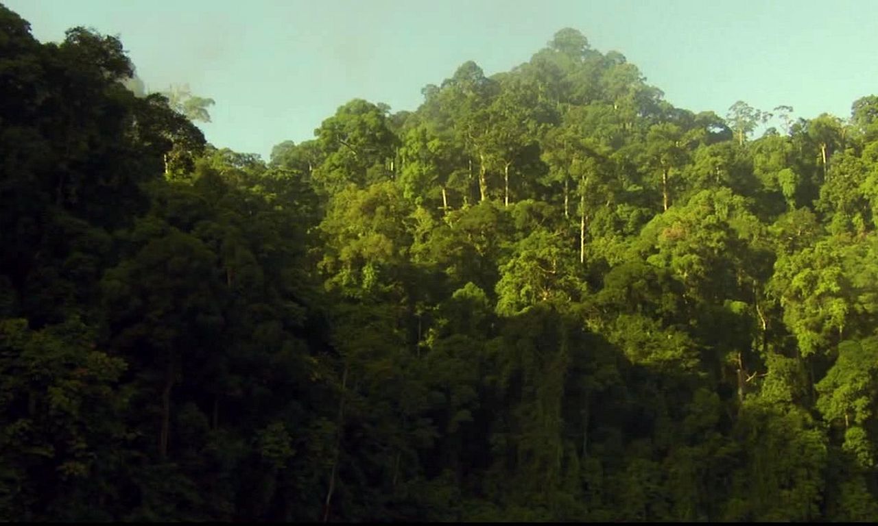 header image for Equator