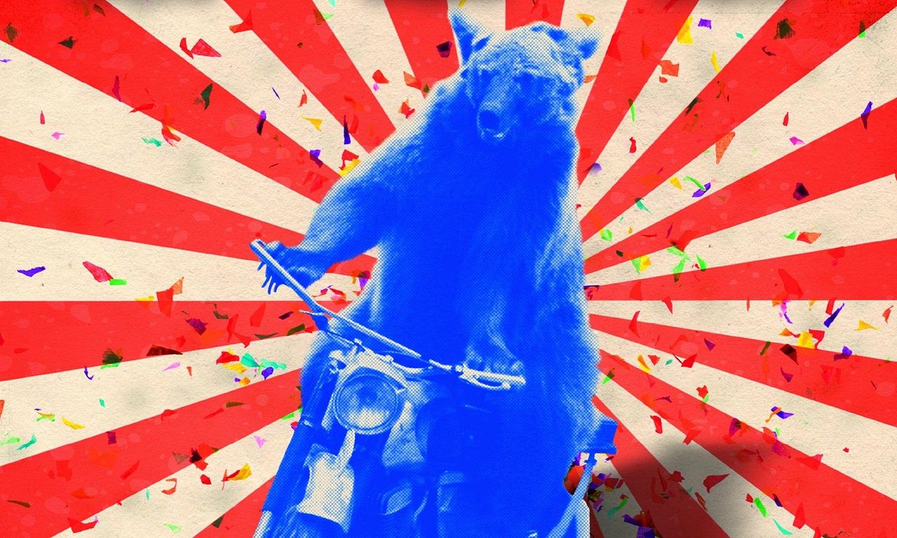 header image for The Bear