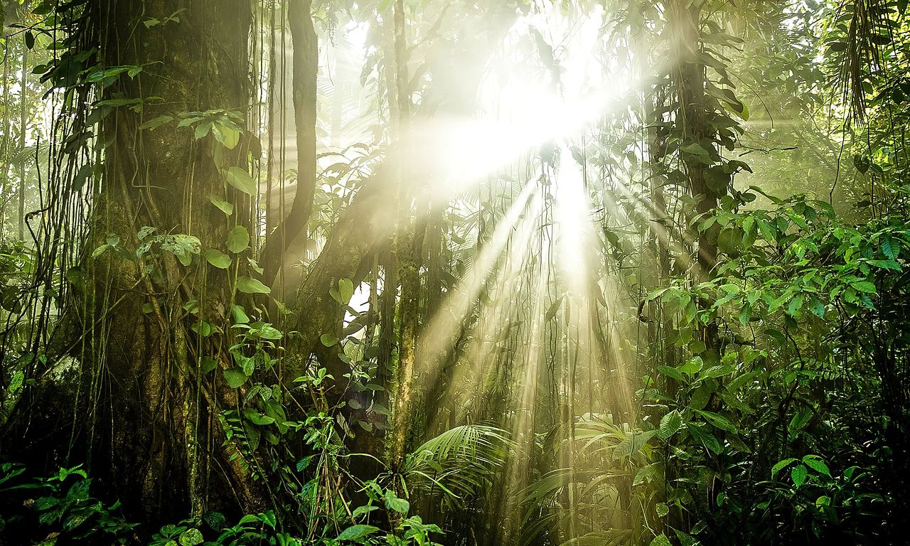 header image for The Green Planet