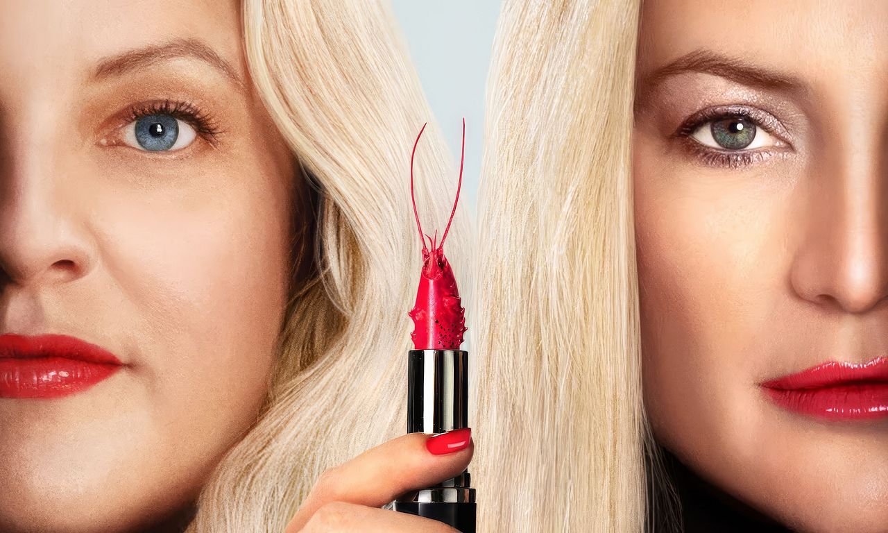 header image for Shell