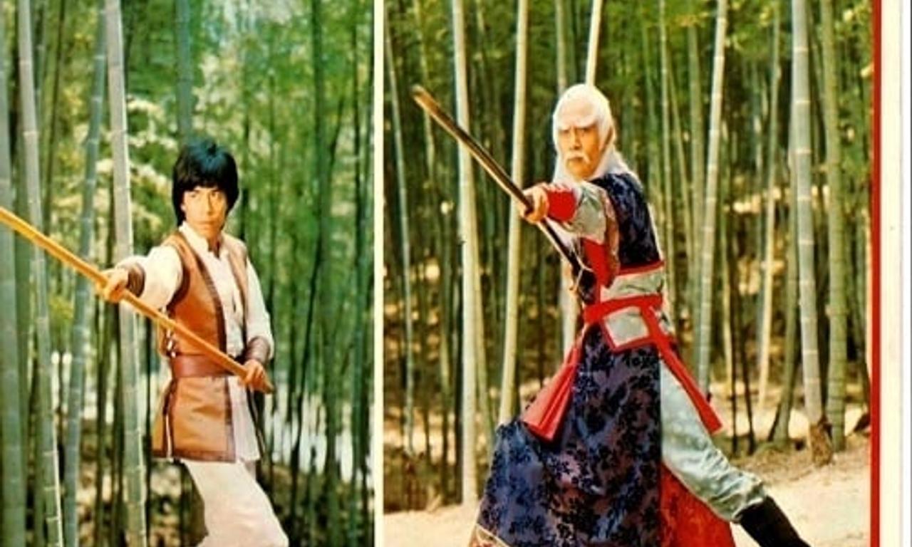 header image for Shaolin Invincible Sticks