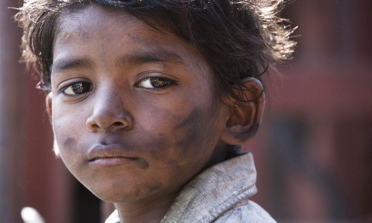 header image for Lion