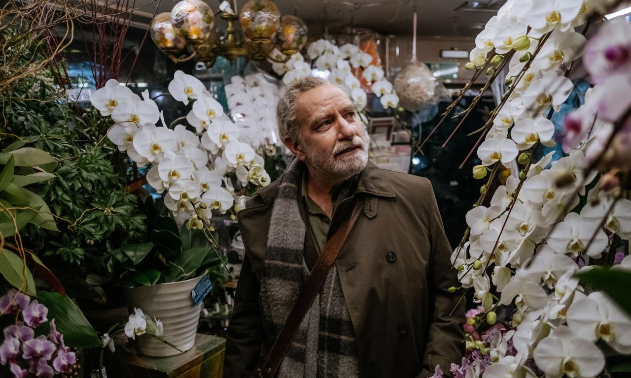 Touch Where to Watch and Stream Online Entertainment.ie