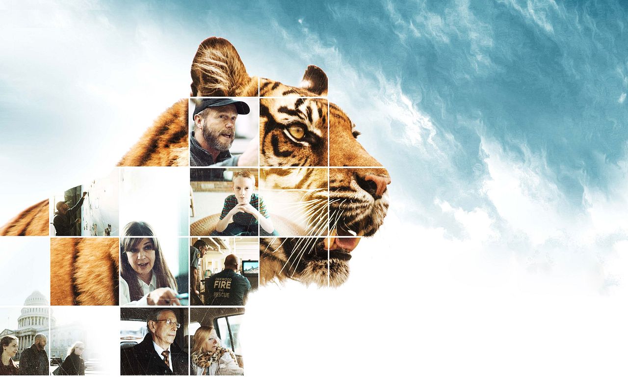 header image for The Conservation Game