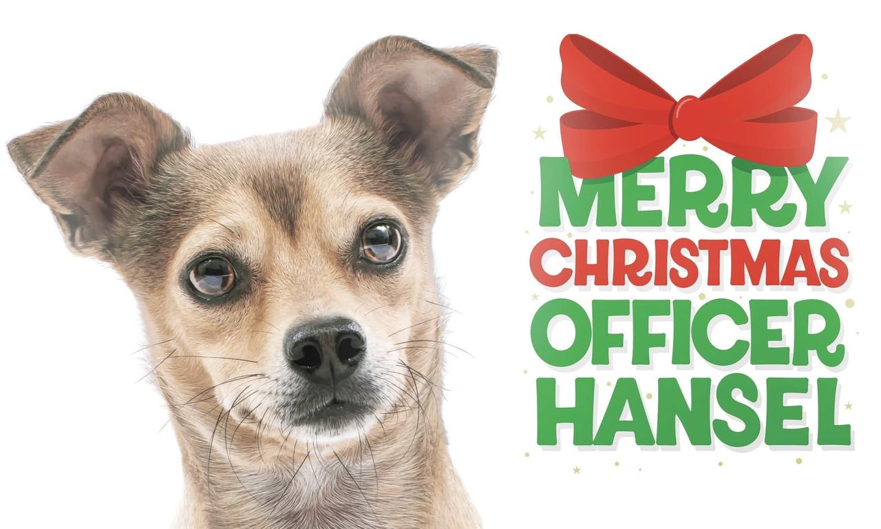header image for Merry Christmas Officer Hansel