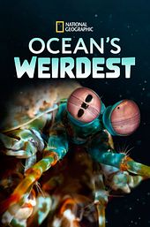 Ocean's Weirdest