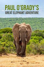 Paul O'Grady's Great Elephant Adventure