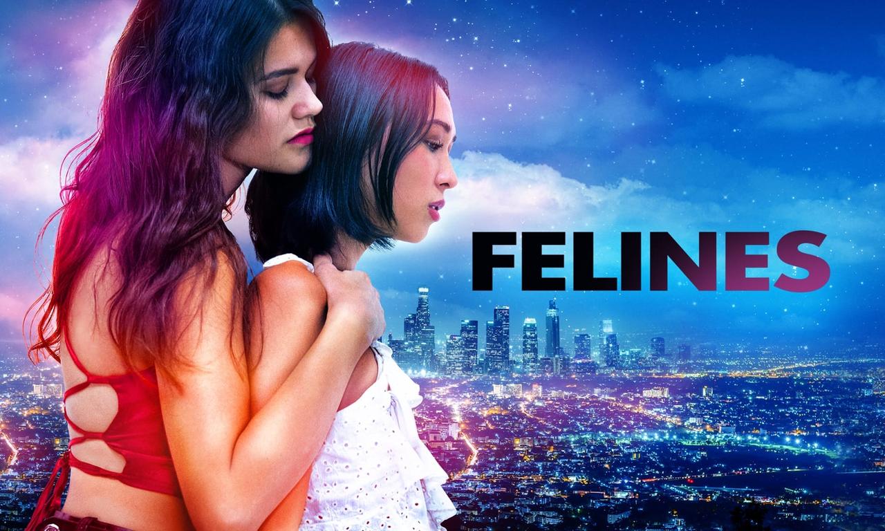 header image for Felines