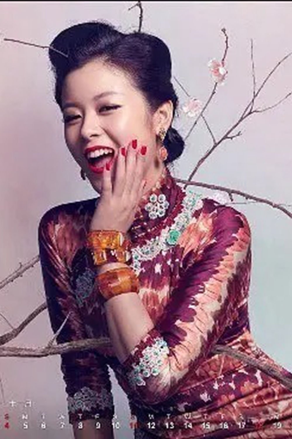 Su Xiaomei - About - Entertainment.ie
