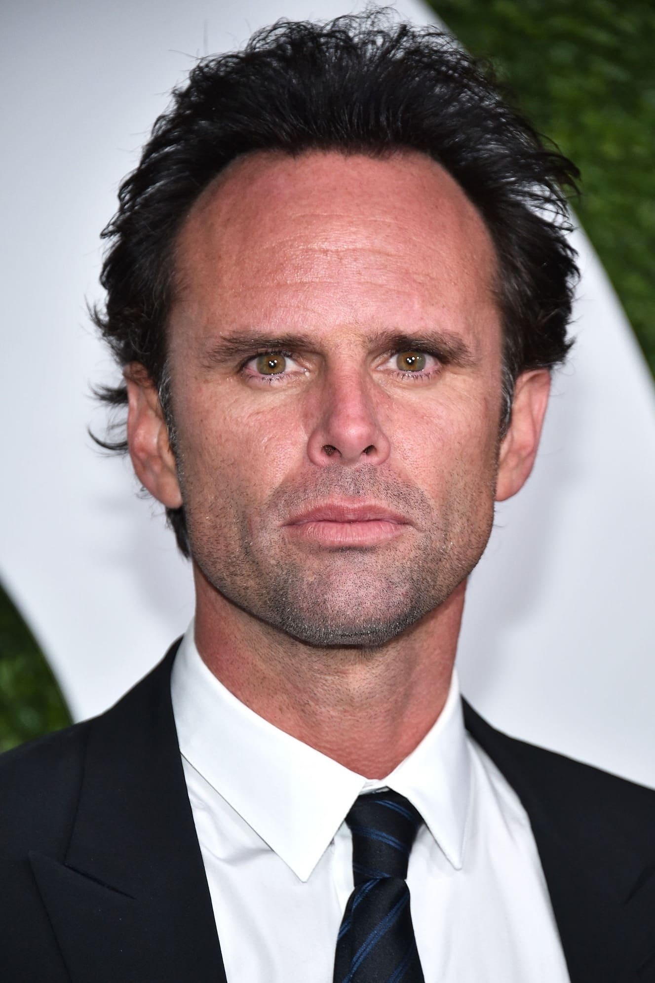 Walton Goggins About Entertainment.ie