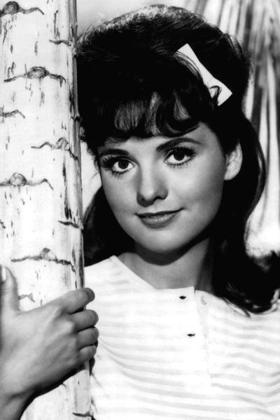 Dawn Wells - About - Entertainment.ie