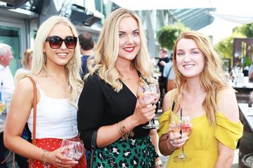 The Irish Gin and Tonic Fest Launch 2018 at Urban Brewing Dublin