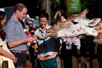 Prince William, Kate and George celebrate Easter at Sydney Zoo