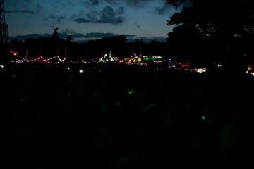 Electric Picnic 2014 - Friday