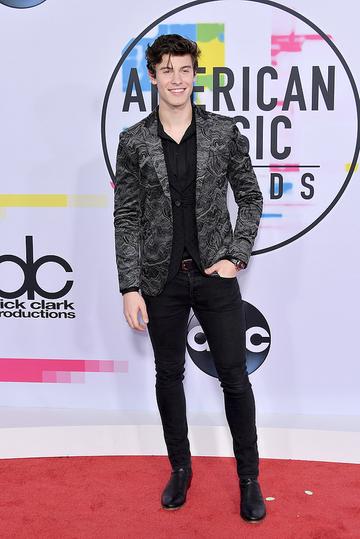 American Music Awards 2017 - Red Carpet