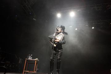 Electric Picnic 2011 - Friday - PJ Harvey