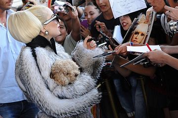 Lady Gaga and her puppy