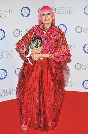 Battersea Dogs &amp; Cats Home 'Collars &amp; Coats Gala Ball 2012'