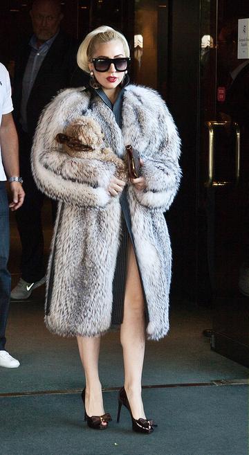 Lady Gaga and her puppy