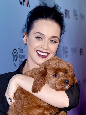 Premiere of Katy Perry: The Prismatic World Tour