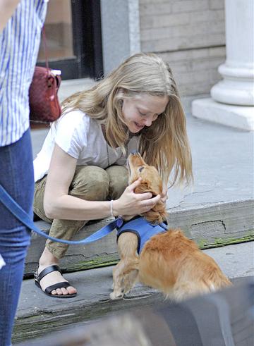 Amanda Seyfried, Graham Norton, Al Pacino and more