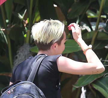 Sandra Bullock, Miley Cyrus, Amber Heard, Liam Hmesworth and more