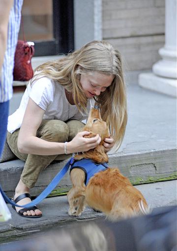 Amanda Seyfried, Graham Norton, Al Pacino and more