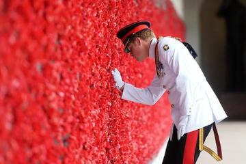 Prince Harry in Australia