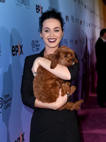 Premiere of Katy Perry: The Prismatic World Tour