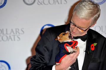 Battersea Dogs &amp; Cats Home 'Collars &amp; Coats Gala Ball 2012'