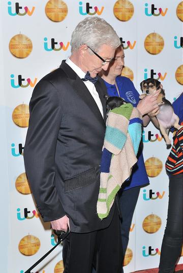 The British Animal Honours