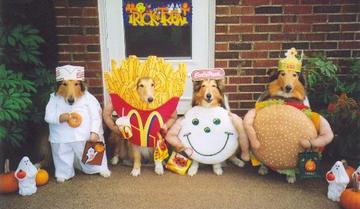 Dogs in Halloween costumes