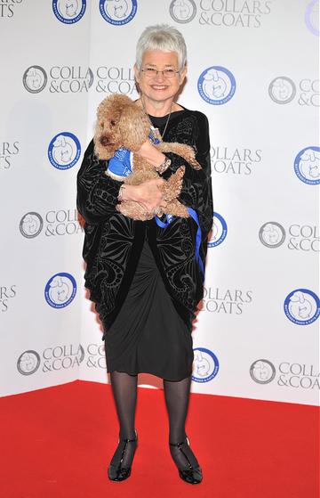 Battersea Dogs &amp; Cats Home 'Collars &amp; Coats Gala Ball 2012'