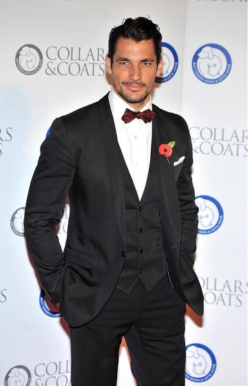 Battersea Dogs &amp; Cats Home 'Collars &amp; Coats Gala Ball 2012'