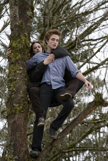 Kristen Stewart and Robert Pattinson in Pictures