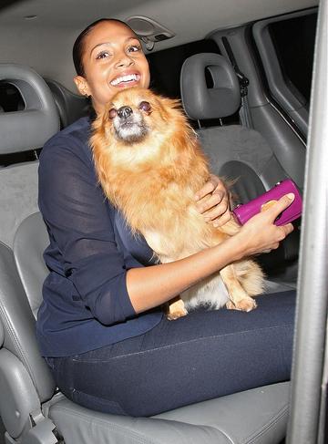 Celebs and their puppy love
