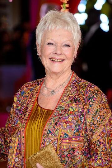 Premiere of 'The Second Best Exotic Marigold Hotel'