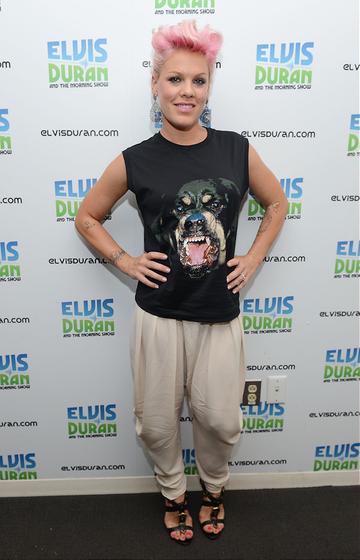 Fashion Goes to the Dogs: Rottweiler Print