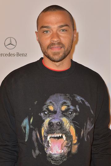 Fashion Goes to the Dogs: Rottweiler Print