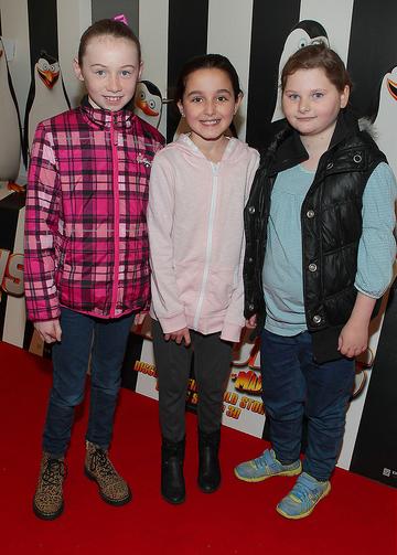 Irish Premiere screening of Penguins of Madagascar