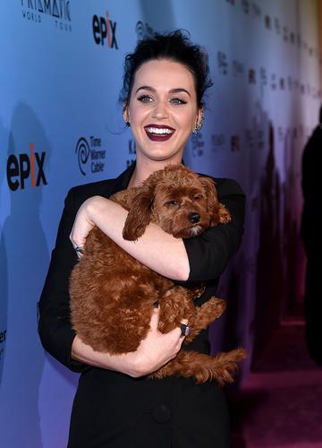 Premiere of Katy Perry: The Prismatic World Tour
