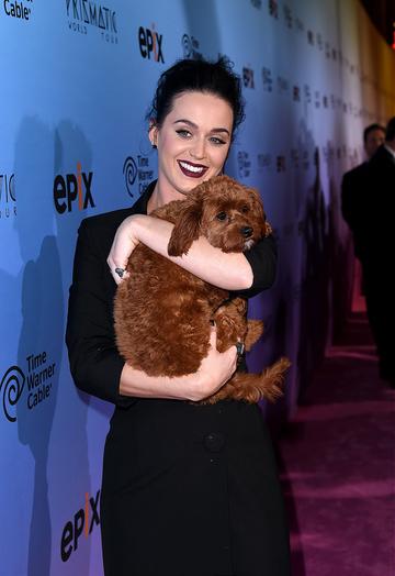Premiere of Katy Perry: The Prismatic World Tour