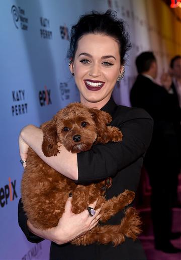 Premiere of Katy Perry: The Prismatic World Tour