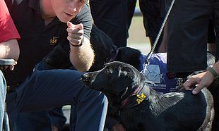 Prince Harry introduces British Invictus Games Team