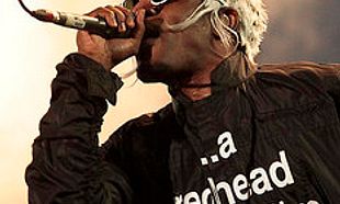 Electric Picnic 2014 - Sunday