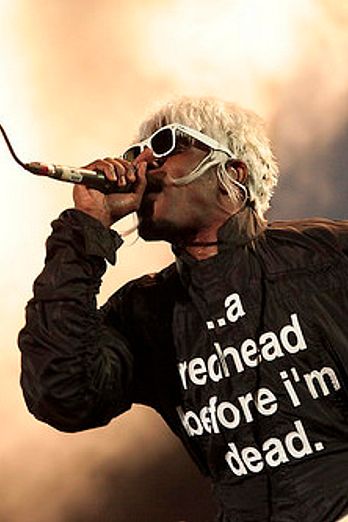 Electric Picnic 2014 - Sunday
