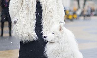 Mercedes-Benz New York Fashion Week Fall 2015 - Street Style