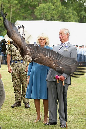 Prince Charles and Camilla at Sandringham Flower Show