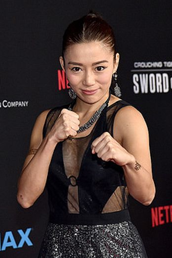 Netflix's "Crouching Tiger, Hidden Dragon: Sword Of Destiny" Premiere