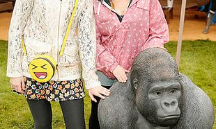 The JUST EAT Retreat at Electric Picnic 2016